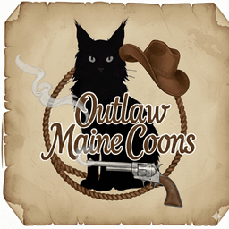 Outlaw Maine Coons